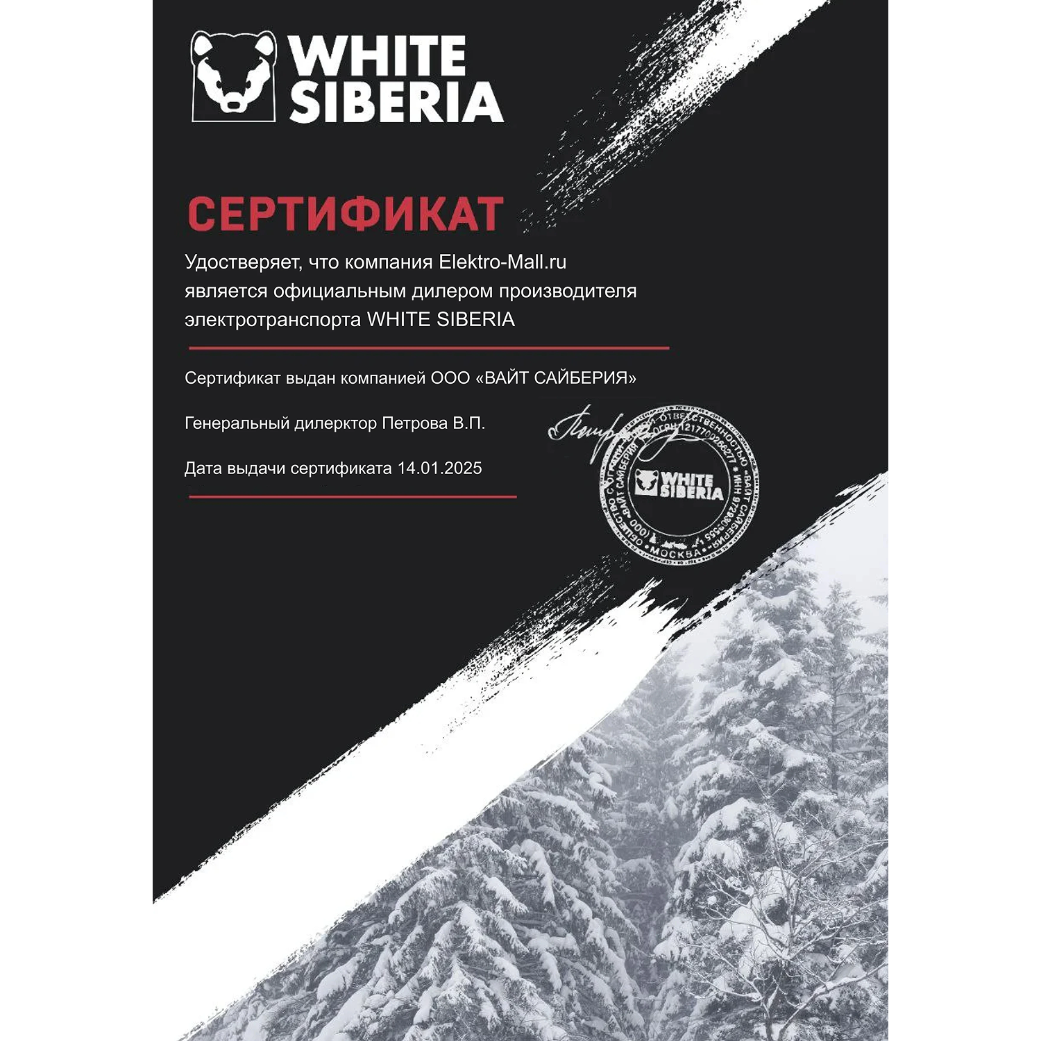 Электромотоцикл WHITE SIBERIA SUR-RON X Light bee black 13 Электромотоцикл WHITE SIBERIA SUR-RON X Light bee black 13