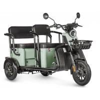 Электротрицикл Wanshida LC300 60V 1000Вт Зеленый